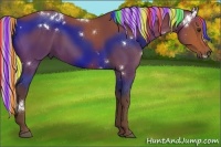 Horse Color:Painted White Spotted Silver Bay Rabicano 