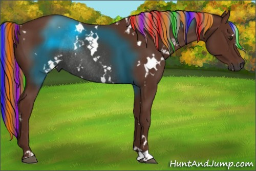 Horse Color:Gray Painted White Spotted Chestnut Rabicano 