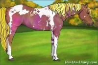 Horse Color:Painted White Spotted Chestnut Tobiano Rabicano 