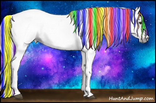 Horse Color:Gray Painted White Spotted Liver Chestnut Rabicano