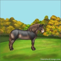 Horse Color:Liver Red Roan 