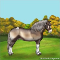 Horse Color:Silver Brown Onyx Appaloosa 