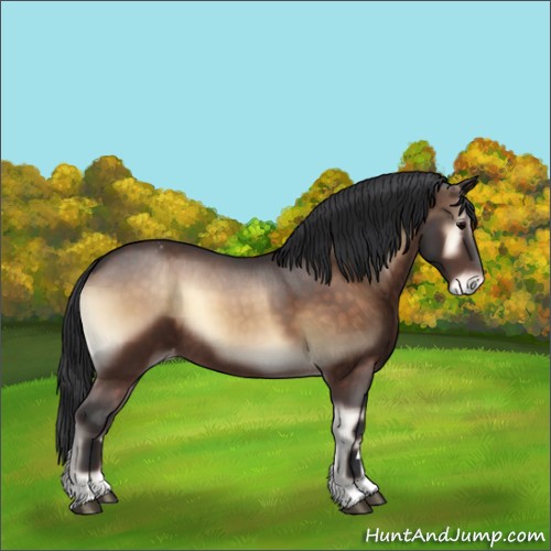 Horse Color:Brown Onyx Appaloosa Rabicano