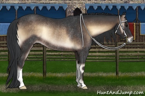 Horse Color:Brown Onyx Rabicano