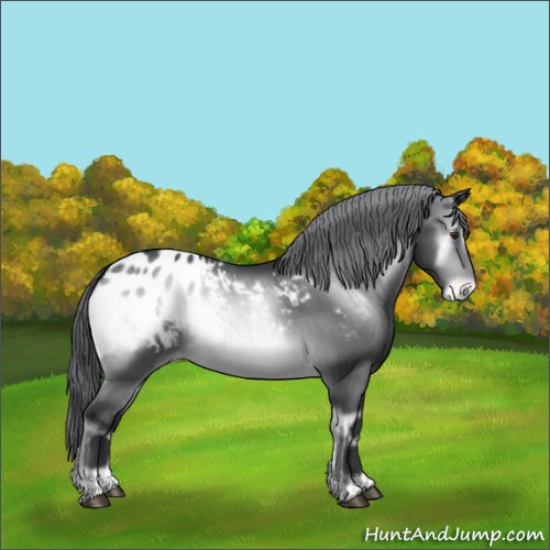 Horse Color:Brown Chinchilla Onyx Appaloosa Brindle 