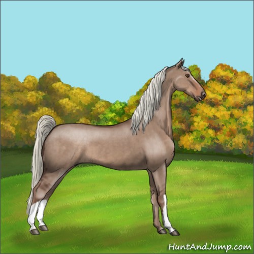Horse Color:Liver Red Dun Brindle 