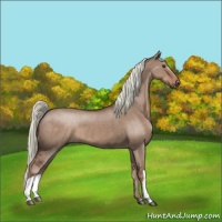 Horse Color:Liver Red Dun Brindle