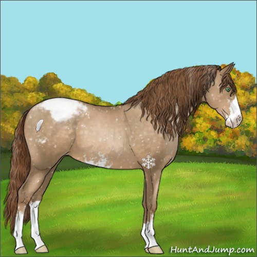 Horse Color:Smoky Black Pearl Sabino Snowflake Varnish