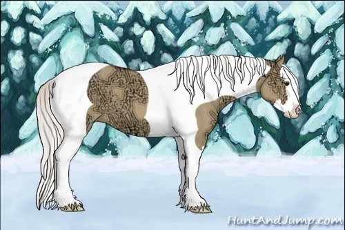 Horse Color:Silver Bay Ice Dun Splash Tobiano 