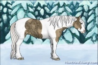 Horse Color:Silver Bay Ice Dun Splash Tobiano