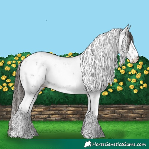 Horse Color:Liver Chestnut Ice Sabino 