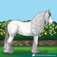 Horse Color:Liver Chestnut Ice Sabino