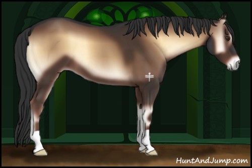 Horse Color:Liver Red Onyx 