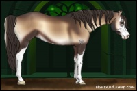 Horse Color:Liver Red Onyx Sabino 