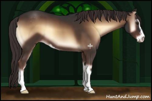 Horse Color:Liver Red Onyx Sabino 