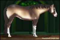 Horse Color:Liver Red Onyx Sabino 