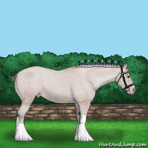 Horse Color:White Spotted Classic Champagne Appaloosa 