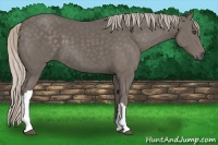 Horse Color:Silver Black 
