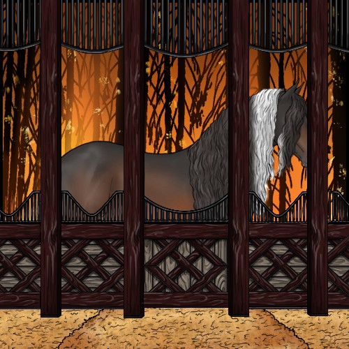 Horse Color:Brown Tobiano Appaloosa 