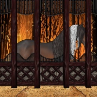 Horse Color:Brown Tobiano Appaloosa