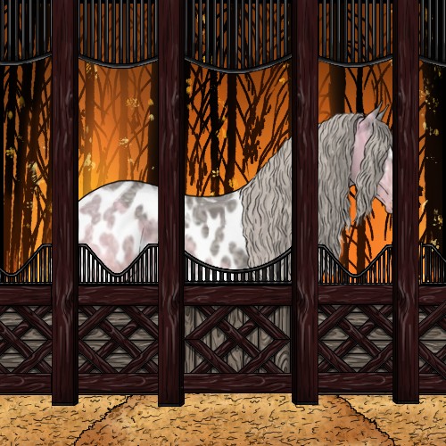 Horse Color:White Spotted Silver Black Ice Appaloosa 