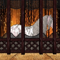 Horse Color:White Spotted Silver Black Ice Appaloosa