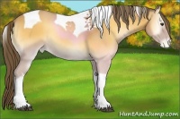 Horse Color:Buckskin Onyx Tobiano Varnish Rabicano 
