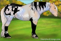 Horse Color:Silver Amber Champagne Tobiano Blanket Rabicano 
