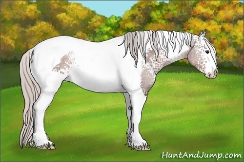 Horse Color:White Spotted Silver Brown Tobiano 