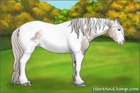 Horse Color:White Spotted Silver Brown Tobiano 