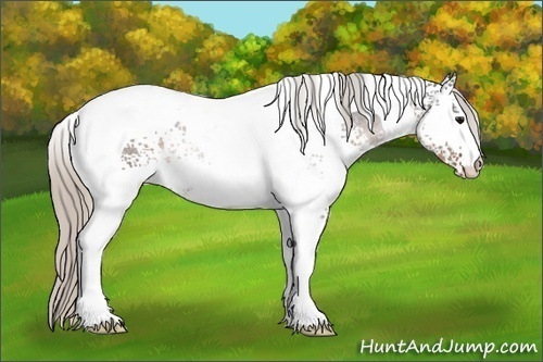 Horse Color:White Spotted Silver Buckskin Tobiano 