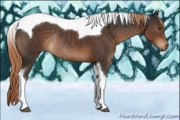 Horse Color:Liver Chestnut Tobiano Rabicano 