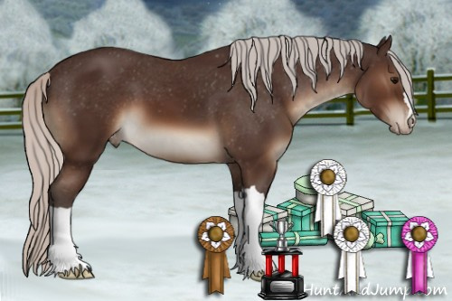 Horse Color:Silver Brown Varnish 