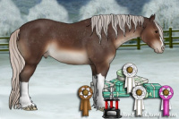 Horse Color:Silver Brown Varnish