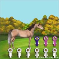 Horse Color:Sable Champagne Varnish 