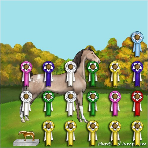 Horse Color:Sable Champagne Appaloosa