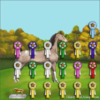 Horse Color:Sable Champagne Varnish 