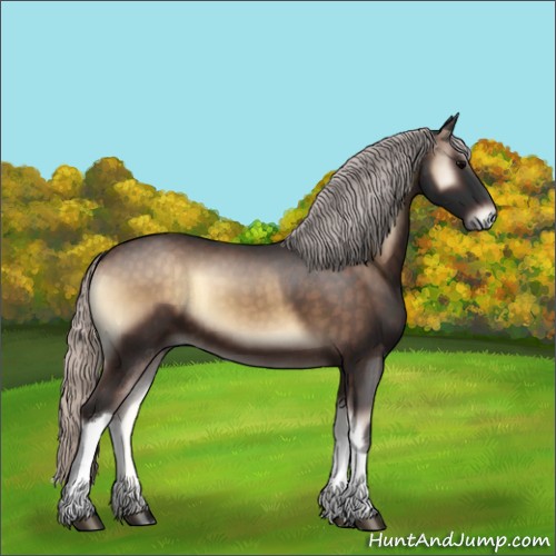 Horse Color:Silver Brown Onyx 