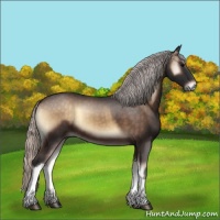 Horse Color:Silver Brown Onyx 
