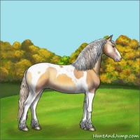 Horse Color:Silver Sable Cream Champagne Onyx Tobiano Brindle