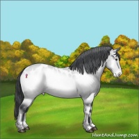 Horse Color:Brown Chinchilla Onyx Near Leopard Rabicano 