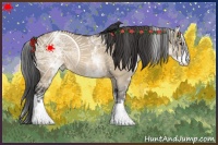 Horse Color:White Spotted Brown Roan Dun 
