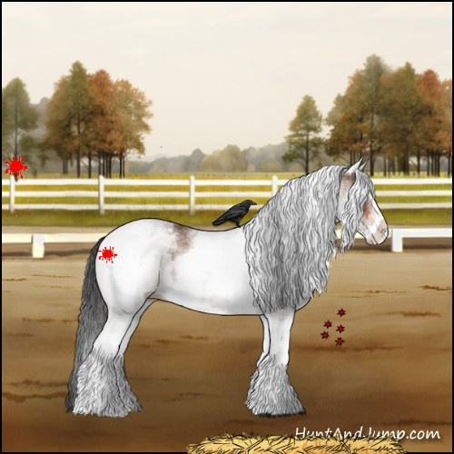 Horse Color:White Spotted Bay Varnish 