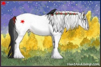 Horse Color:White Spotted Grullo
