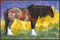 Horse Color:White Spotted Bay 