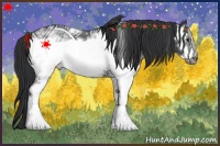 Horse Color:White Spotted Blue Roan Frame 