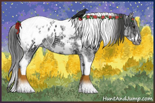 Horse Color:White Spotted Black Splash Tobiano Frame Appaloosa