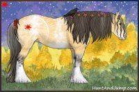 Horse Color:White Spotted Buckskin