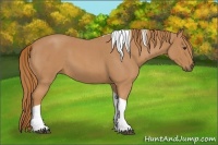 Horse Color:Red Roan Tobiano 