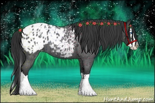 Horse Color:Blue Roan Splash Blanket 